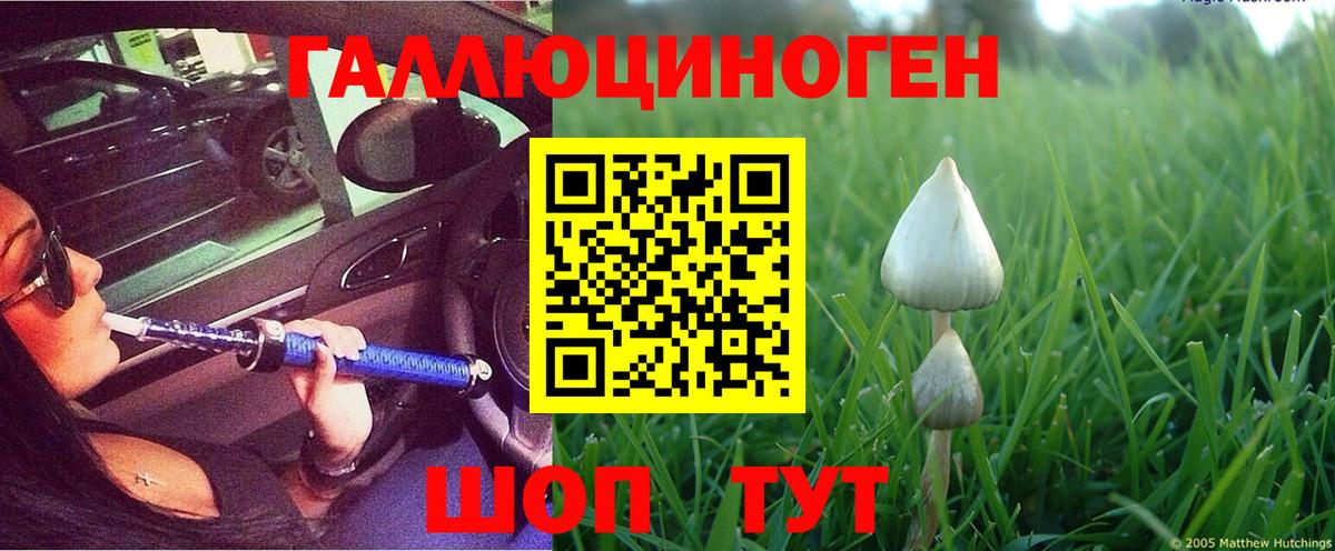 Галлюциногенные грибы Psilocybe  Вход с VPN  Нерюнгри 